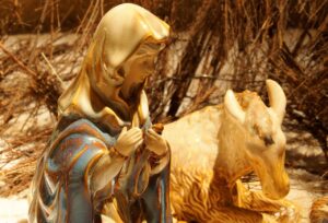 10G光のOSパケットスケジューラの最適な設定方法は？