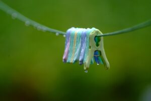 10G光でWiFi6Eメッシュを導入するメリットは？