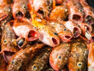 10G光の初期費用をシミュレーションしてどれくらいかかるの？