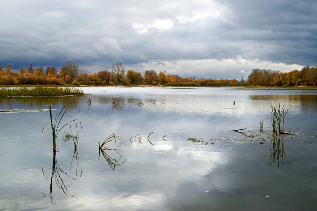 10G光を利用したOBS配信の最適なビットレートは？