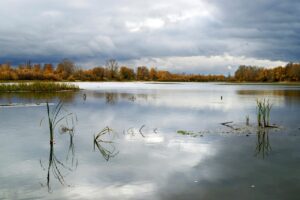 10G光を利用したOBS配信の最適なビットレートは？