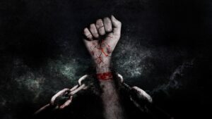 10G光を活用した8Kストリーミングに必要な環境とは？