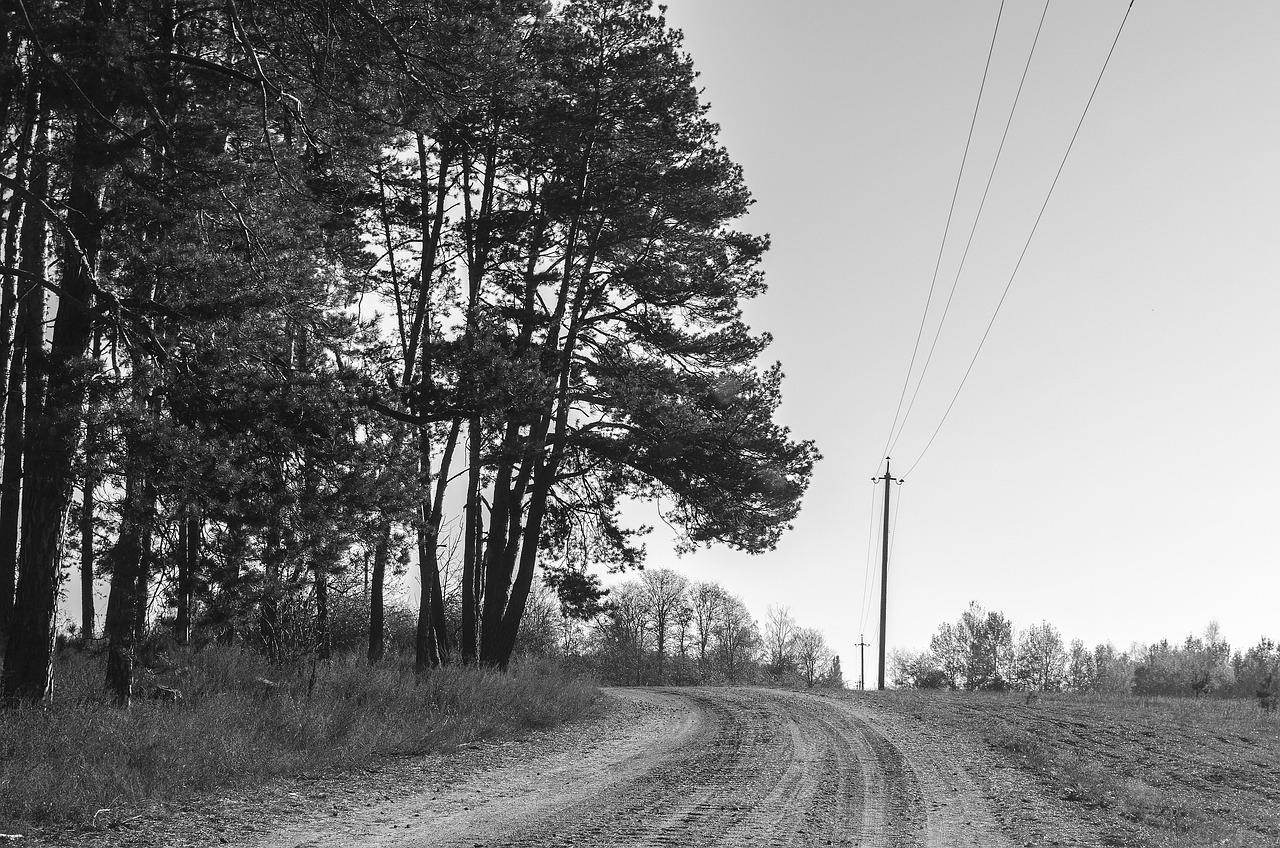 Discordの遅延はどれくらい影響するのか？