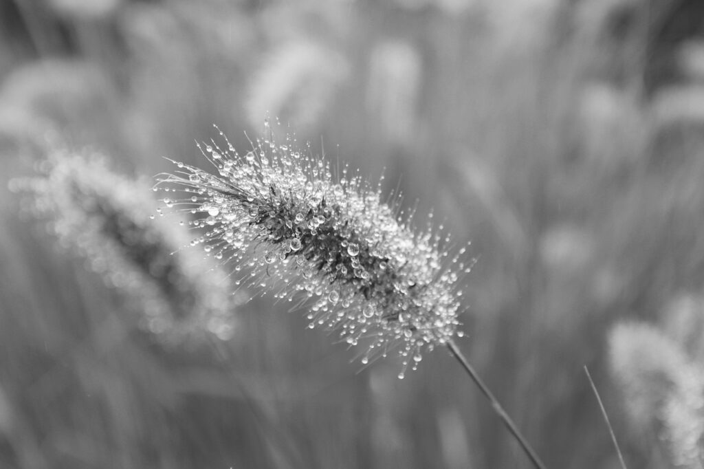 auひかりをゲーム向けに活用するためのポイントは？