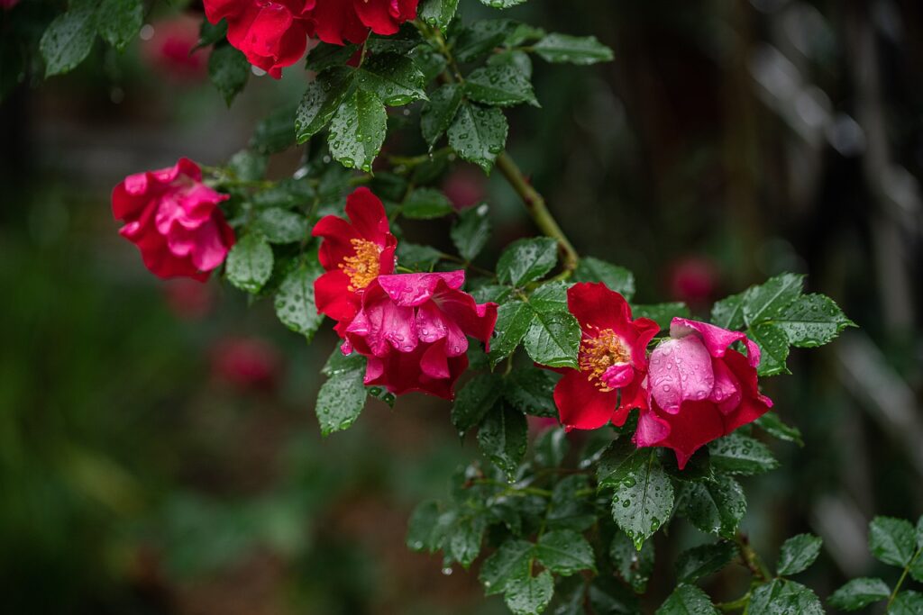 光回線のPing値が低いとゲームにどのように影響するのか？