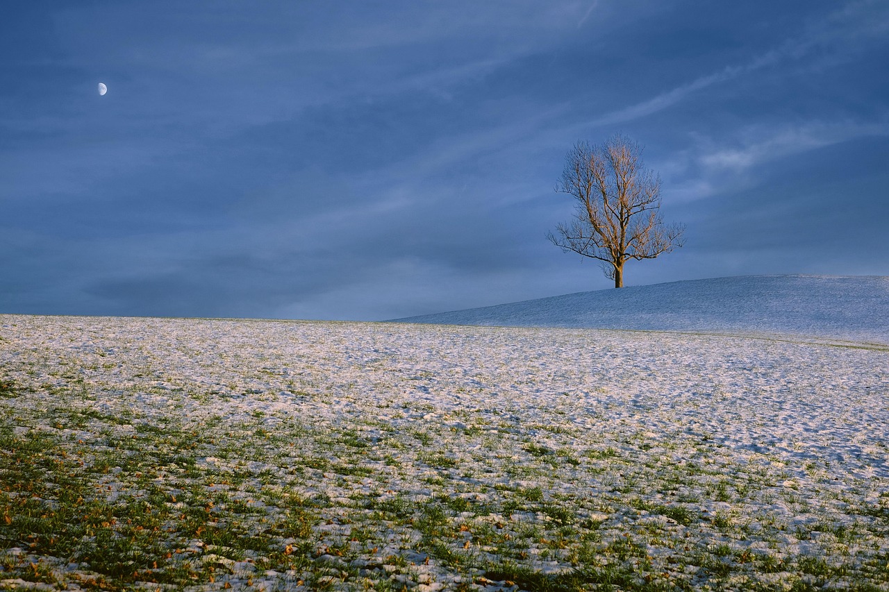 光回線のトラブルに対する効果的な対処法は？