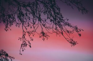 10G光回線を利用したゲームの最適な比較方法は？