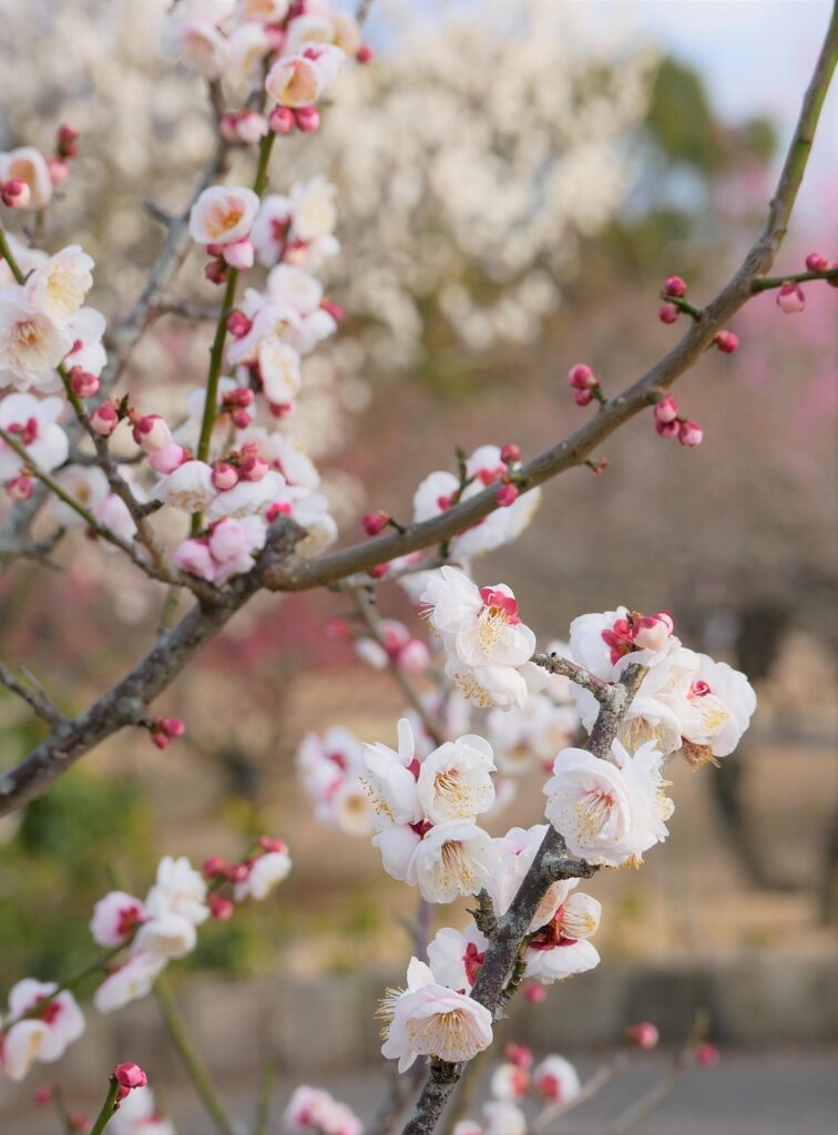 FPSゲームでの夜間プレイ時に効果的なラグ対策は？