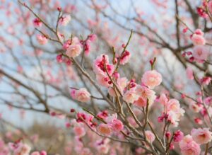 FPSゲームで有線接続が必要な理由とは？