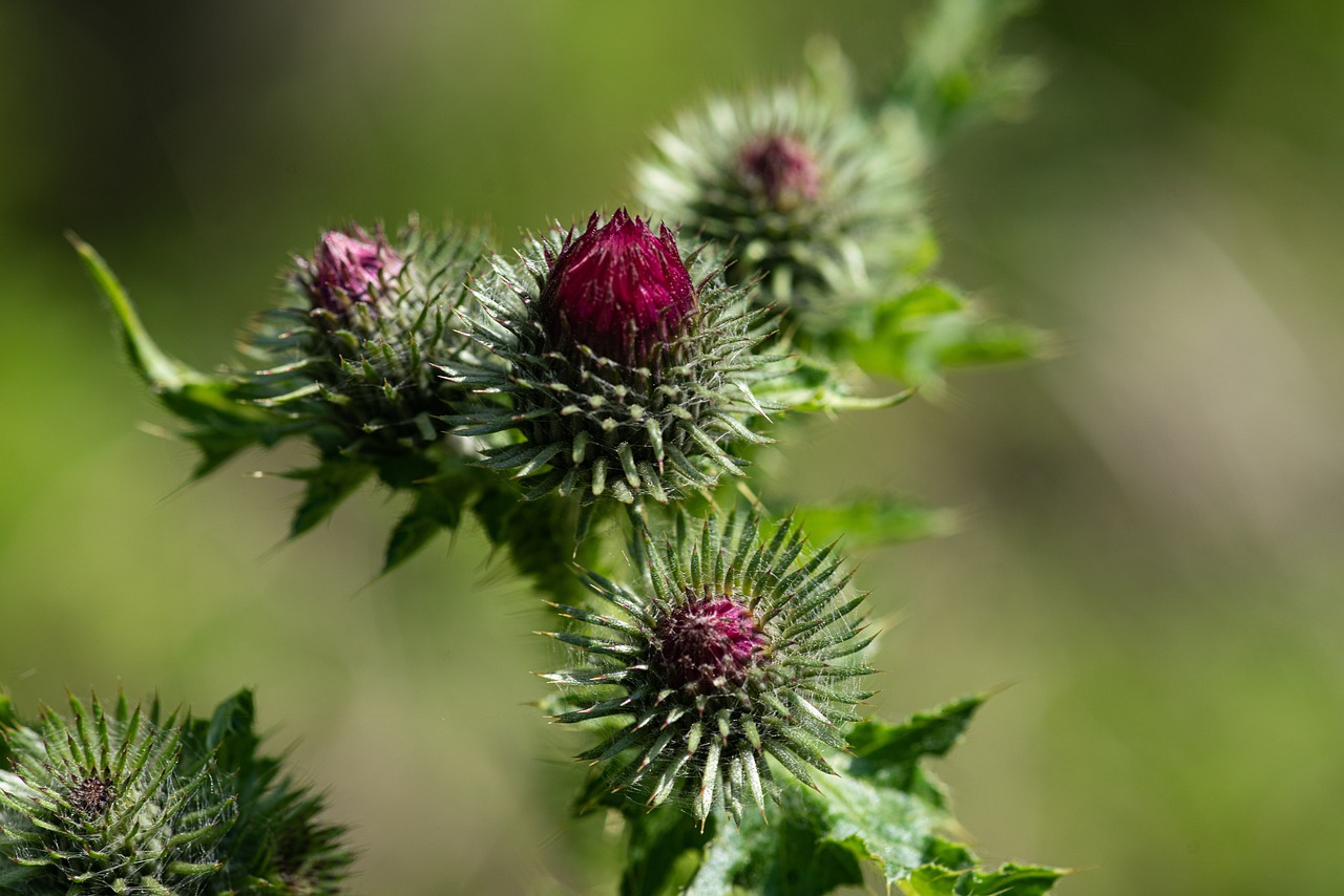 ゲーミング回線の速度よりpingを改善する方法は？