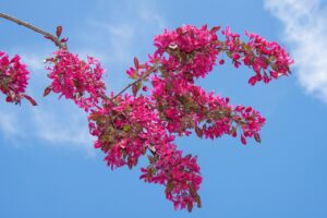 10G光回線のpingはどれくらい遅延するのか？