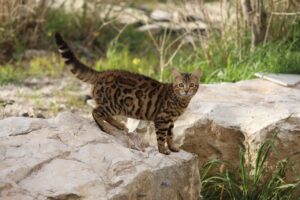 10G光回線の失敗例から学ぶべきポイントは？