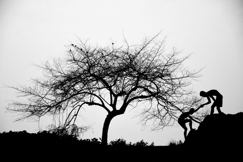 10G光回線の成功事例から学ぶ最適な導入方法は？