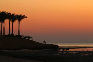 10G光回線の満足度が高い理由とは？