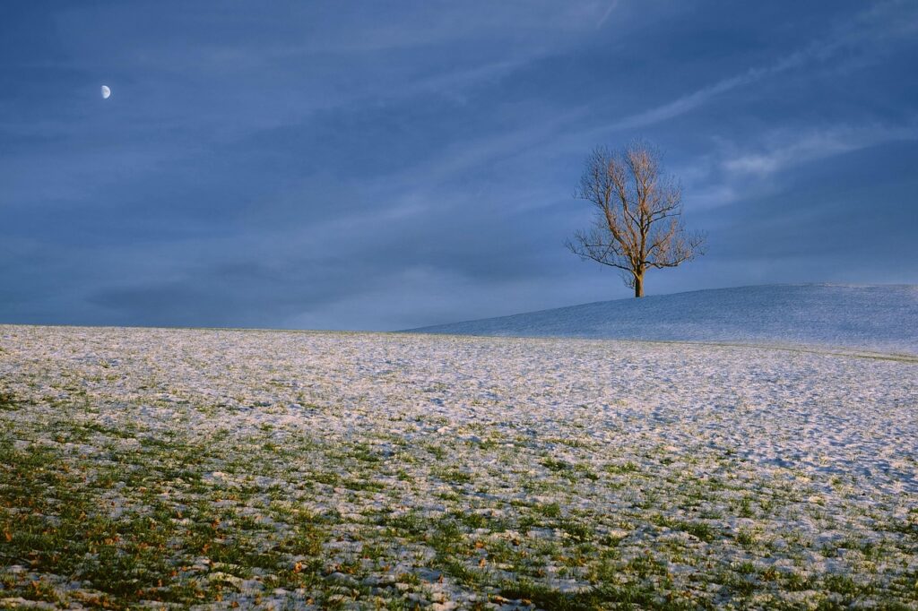 10G光回線の月額はいくらかかるの？