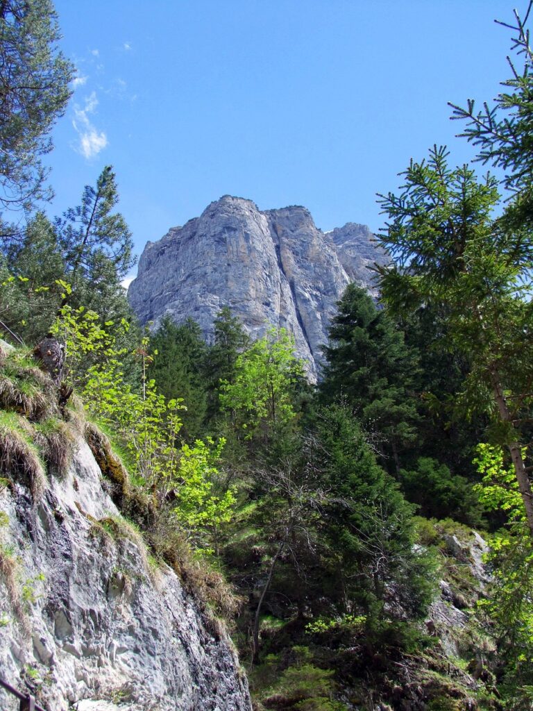 APEXでラグを改善するための光回線の選び方は？