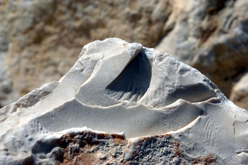 APEXをプレイするために回線を安定させる方法は？