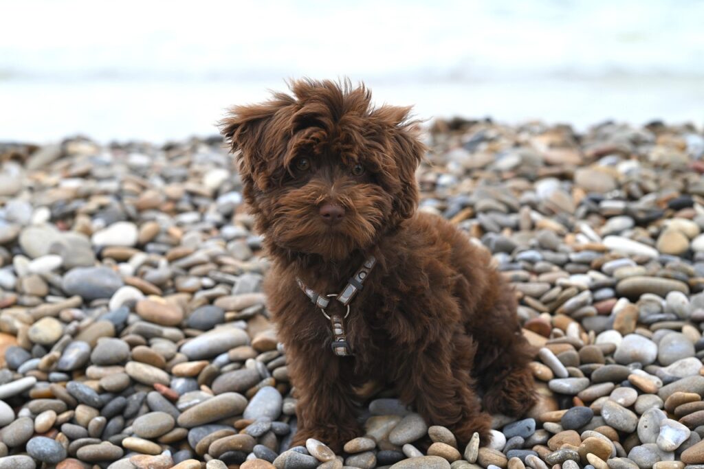 VALORANTにおける10Gの効果は本当にあるのか？