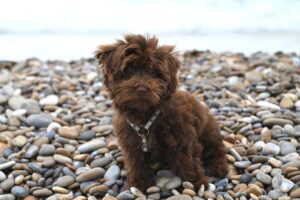 VALORANTにおける10Gの効果は本当にあるのか？