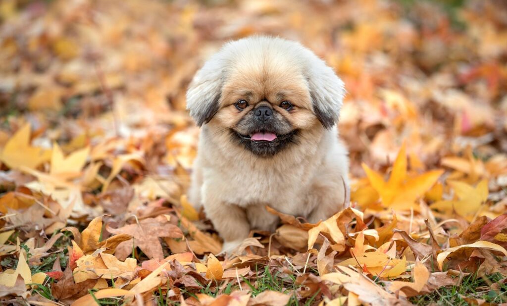 ラグ解消の実例を知って効果的に改善する方法は？