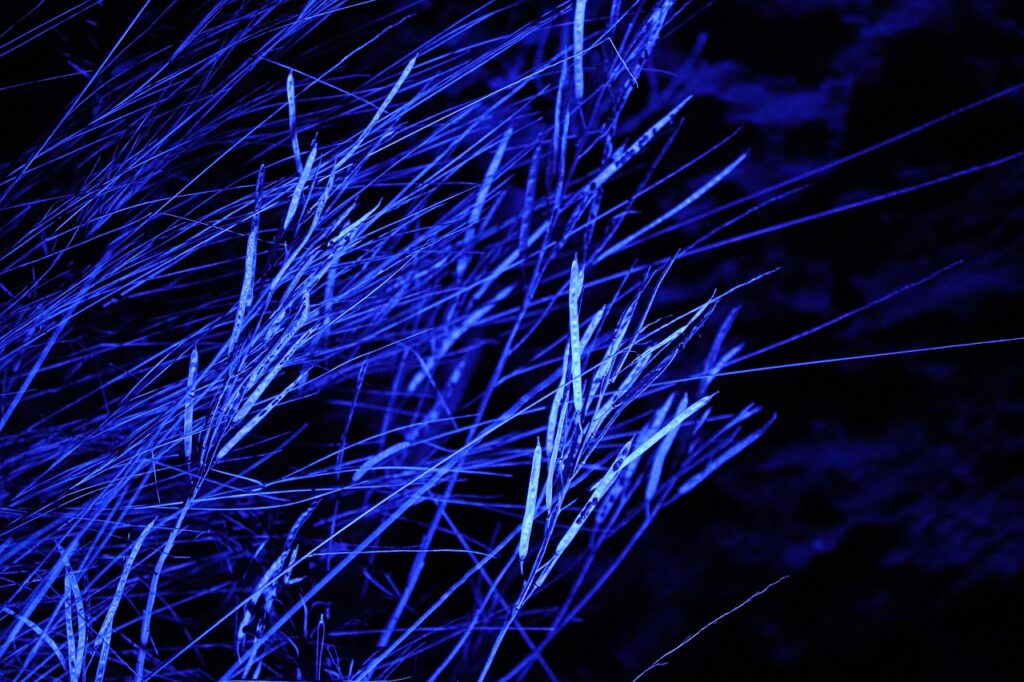 10G光初心者のためのガイドはこれで決まり？