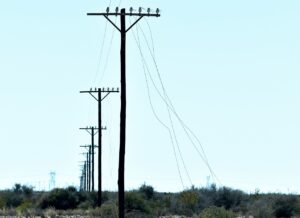 10G光回線の口コミと評判は実際どうなのか？